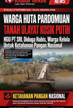 Masyarakat Huta Pardomuan Duduki Tanah Ulayat Kosik Putih, Dukung Ketahanan Pangan Nasional — PT SRL Bersikeras Meski HGU Diduga Sudah Habis