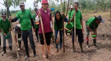 ” PERDANA” Warga mulai Tanam Padi secara bergotong royong, Di Mana Dukungan Negara untuk kami.?
